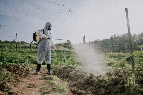 Best Pest Prevention Services  in Honeygo, MD