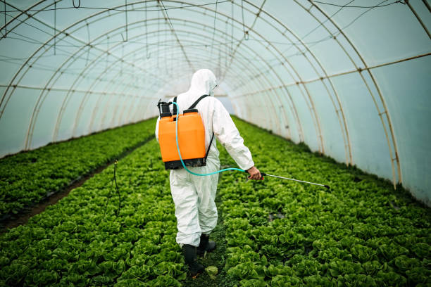 Best Pest Control Near Me  in Honeygo, MD