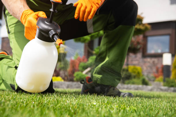 Best Wildlife Control Services  in Honeygo, MD