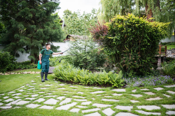 Best Best Pest Control Companies  in Honeygo, MD