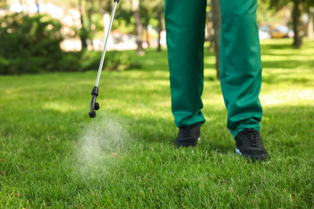 Best Insect Control  in Honeygo, MD