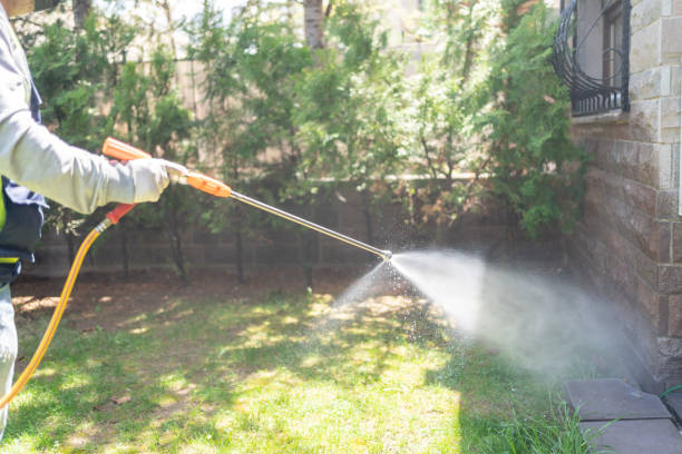 Best Best Pest Control Near Me  in Honeygo, MD