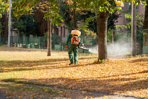 Reliable Honeygo, MD Pest Control Solutions